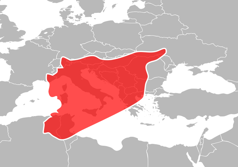 Siria aumentata dell'1% per ogni morto nel 2016